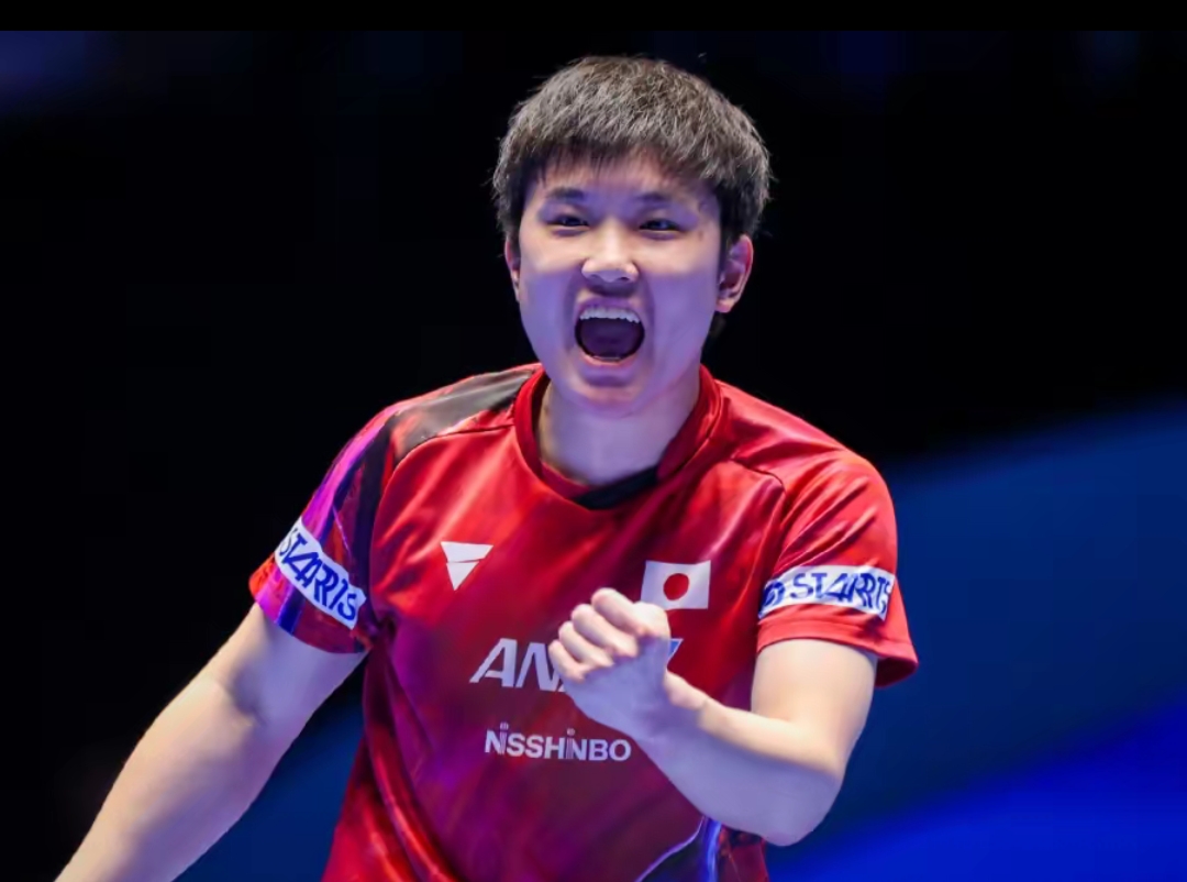 的掌握使库 的掌握使库